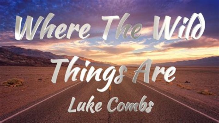 Complete Guide To Luke Combs' "Where The Wild Things Are": Meaning, Lyrics, And Analysis