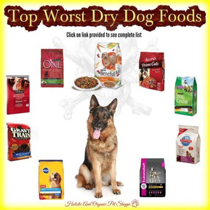 Beware! The Absolute Worst Dog Food Brands To Avoid